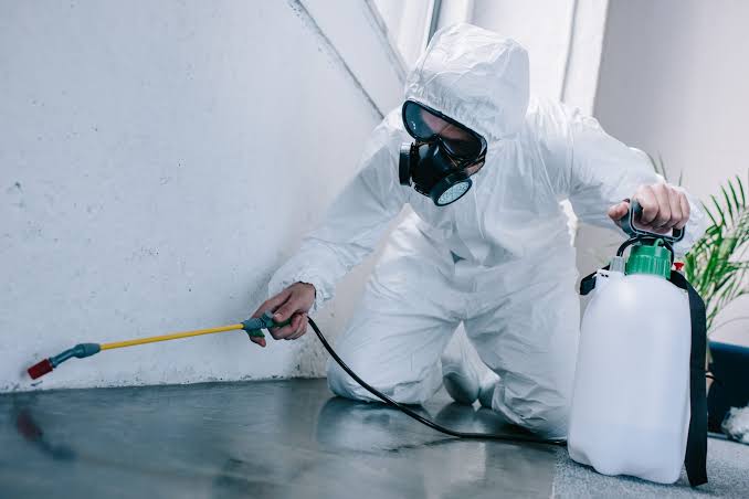 How to Prepare for a Pest Control Treatment