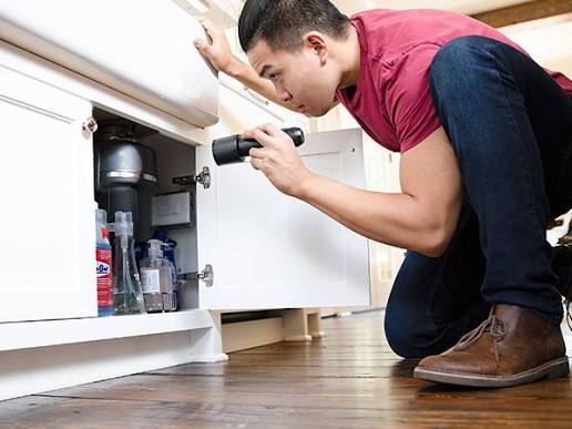when to do pest inspection