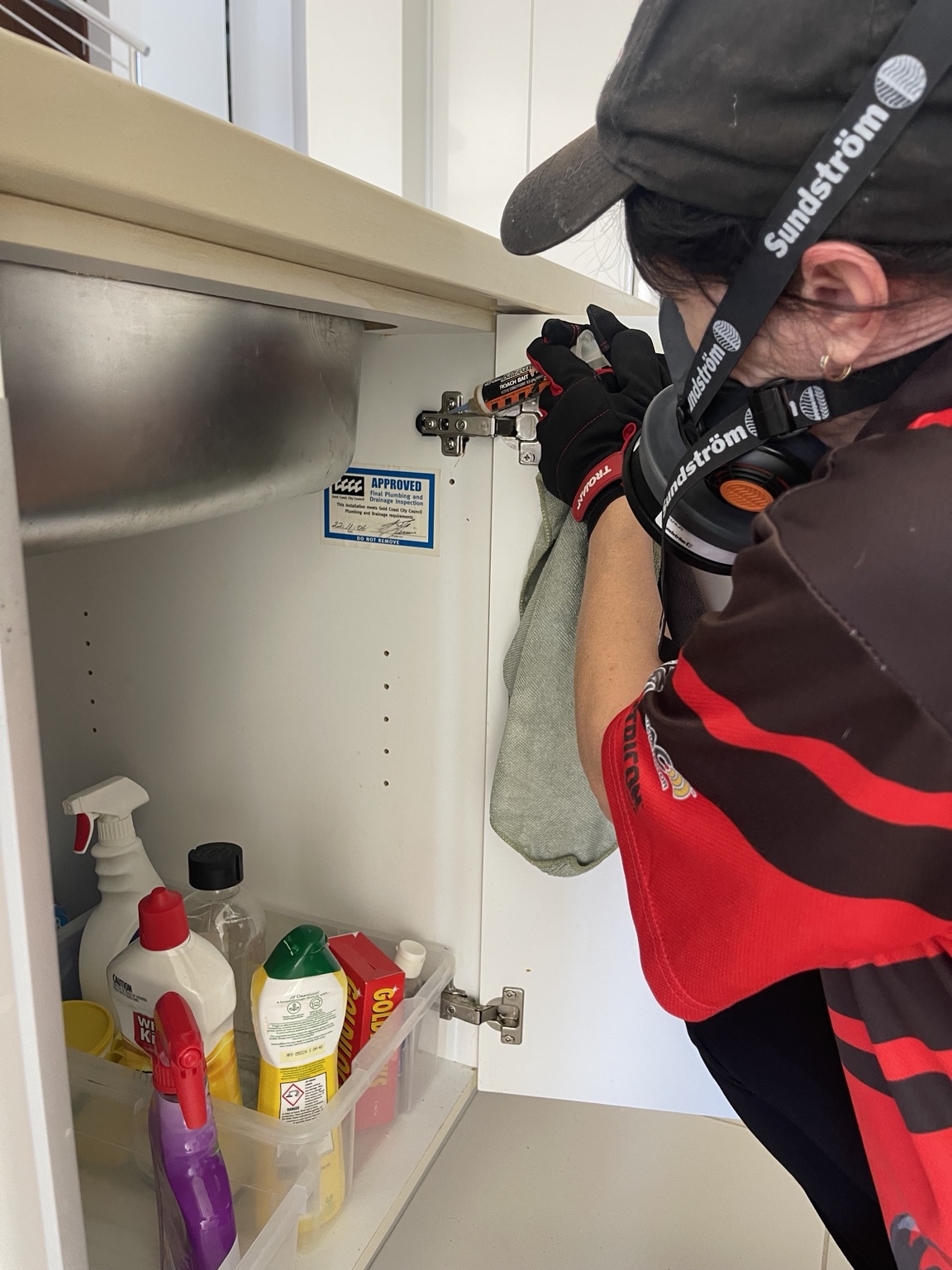 Targeted German cockroach gel treatment inside kitchen cabinetry